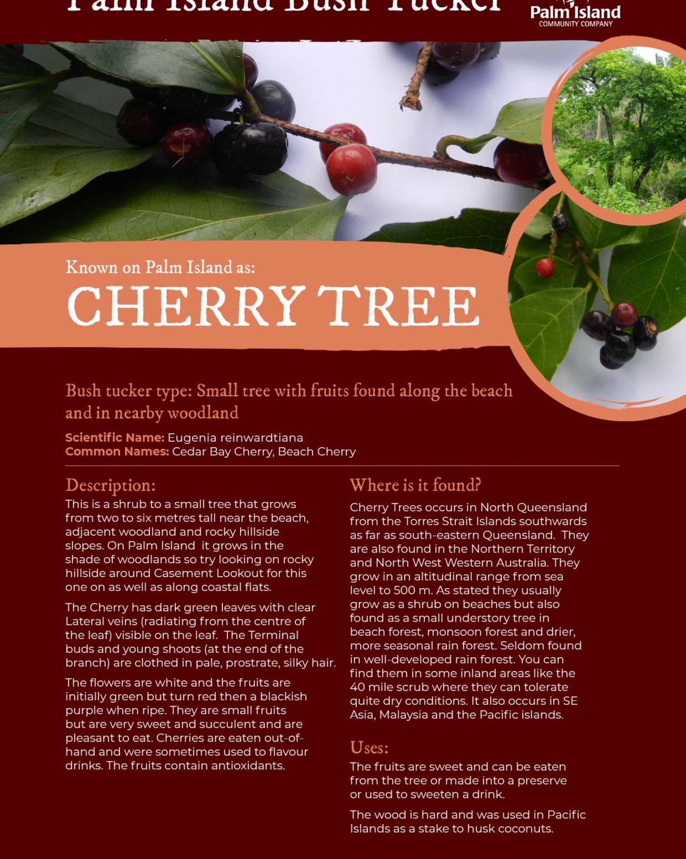 cherry-tree