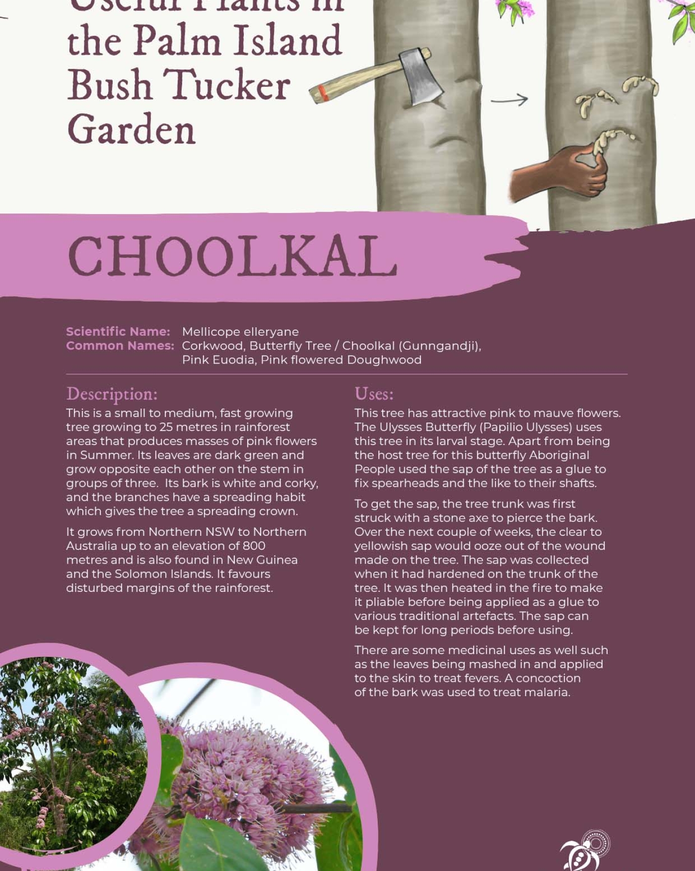 choolkal
