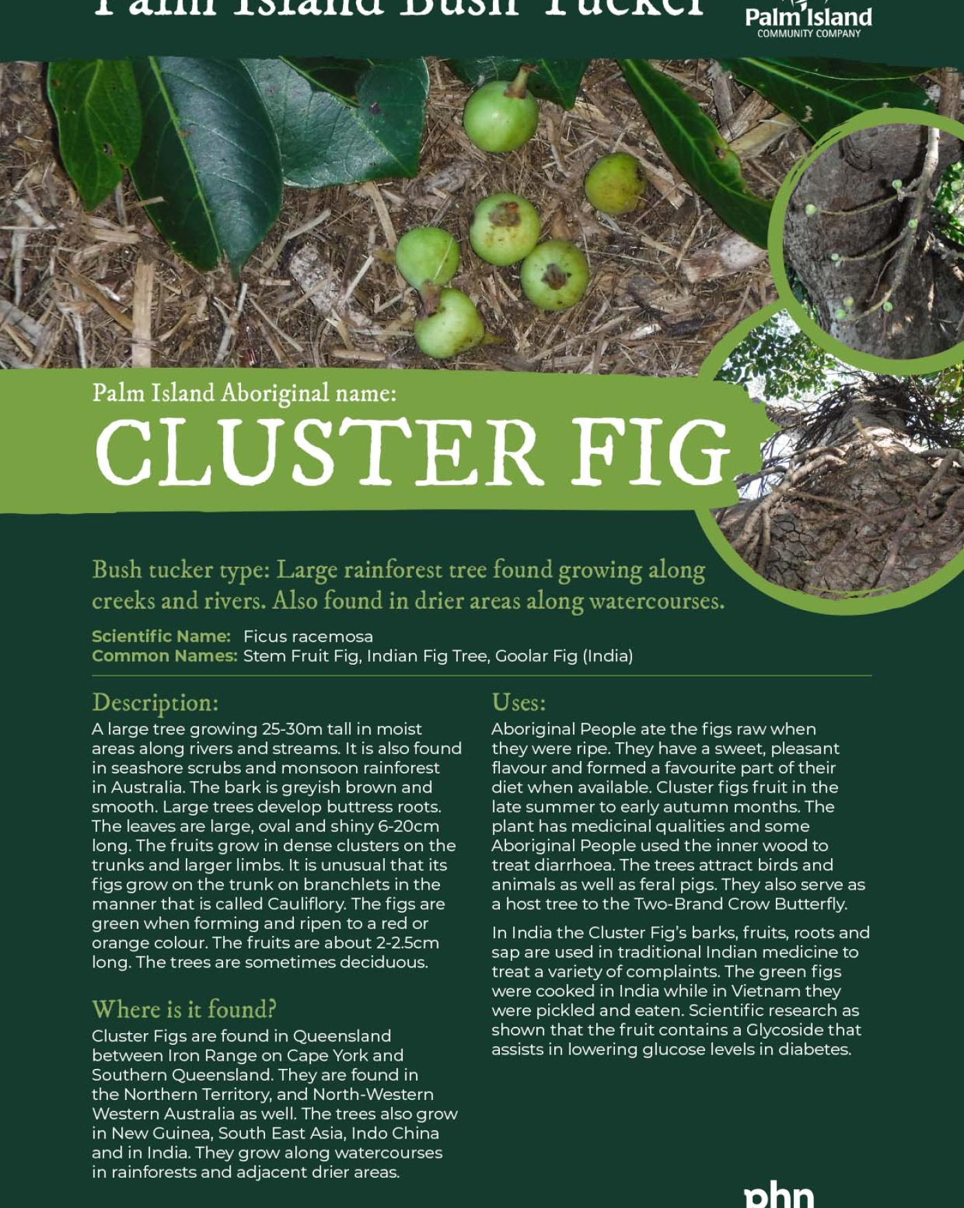 cluster-fig