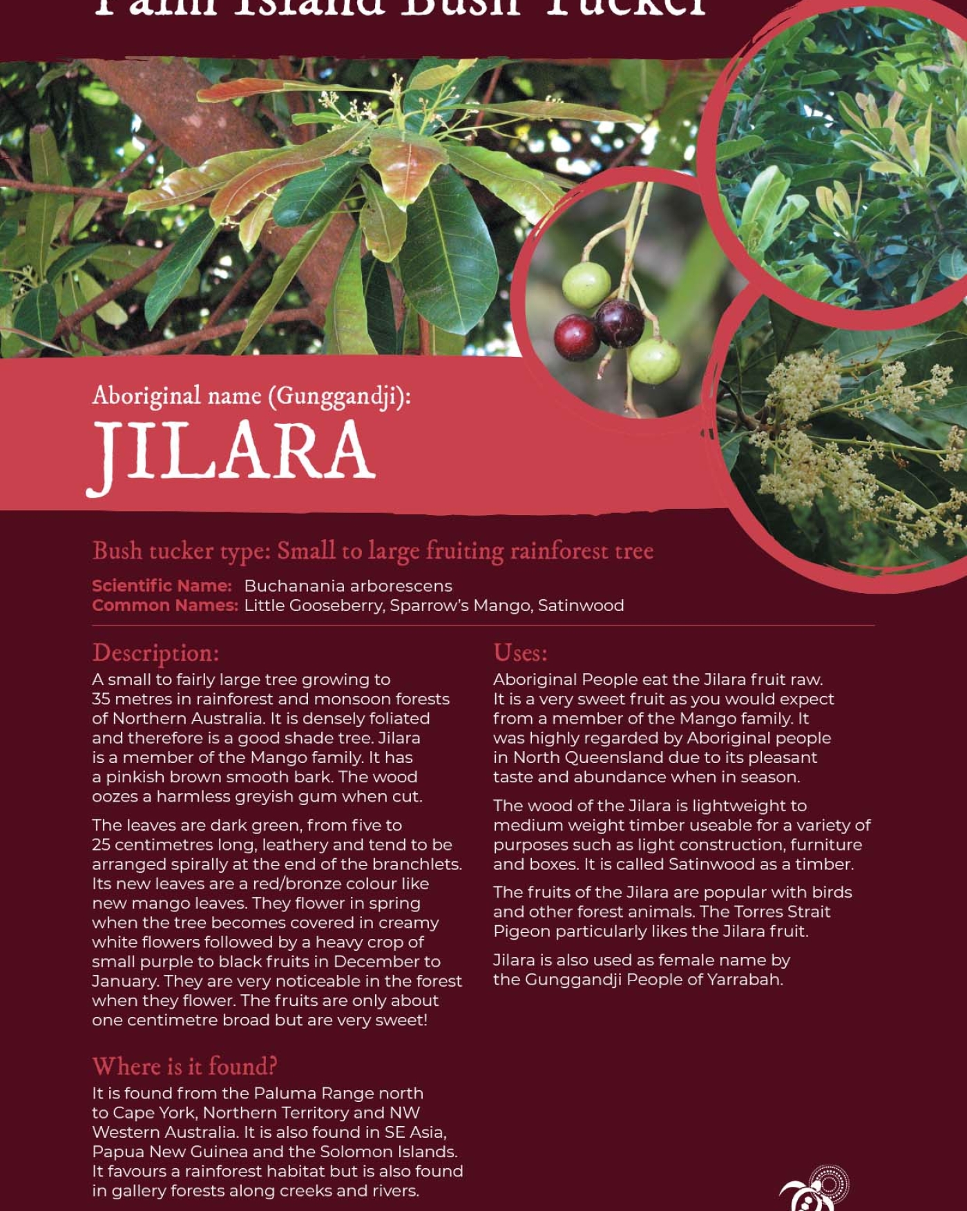 jilara-fruit