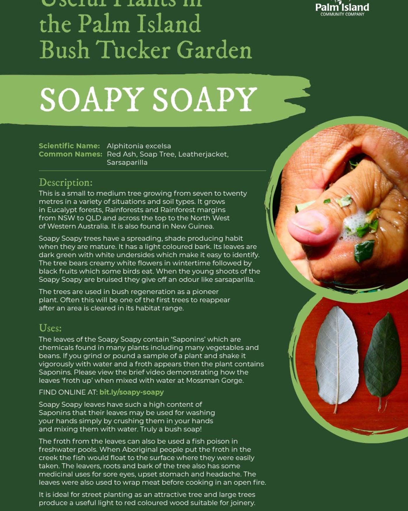 soapy-soapy